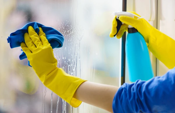 Window Cleaning in Winnipeg