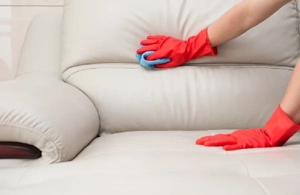 Leather Furniture Cleaning in Winnipeg